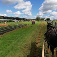 บรรยากาศ The Farm