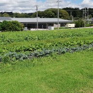 บรรยากาศ The Farm