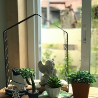 บรรยากาศ Sweet Belle in the Garden