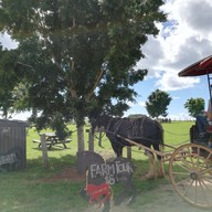 บรรยากาศ The Farm