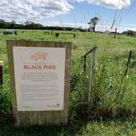 บรรยากาศ The Farm