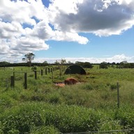 บรรยากาศ The Farm