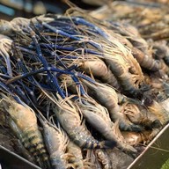 ตั้งเตาซีฟู้ด ตลาดหลังเดอะมอลล์โคราช