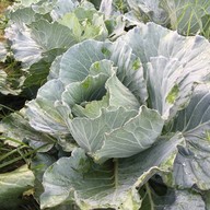 อุ้มเปี้ยม