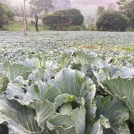 อุ้มเปี้ยม