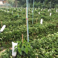 อุ้มเปี้ยม