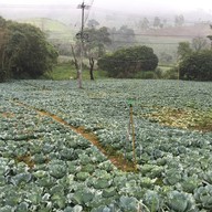 อุ้มเปี้ยม