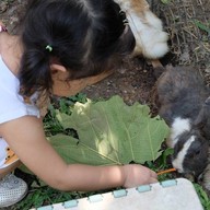 บรรยากาศ The Rabbit Union