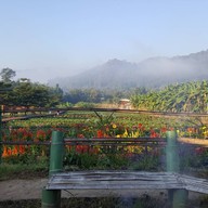 บรรยากาศ ไร่สตรอเบอร์รี่ไผ่สีทอง