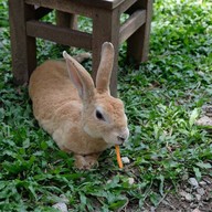บรรยากาศ The Rabbit Union