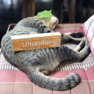 บ้านมะขวิด