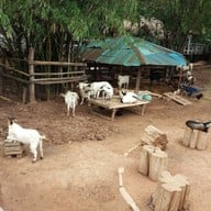 บ้านแพะคอฟฟี่