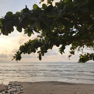 หาดคอกวาง