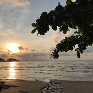 หาดคอกวาง