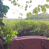 บรรยากาศ ปลาไทย