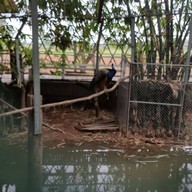 บ้านแพะคอฟฟี่