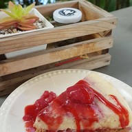 Northern Plants Farm | Cactus Cafe ไชยปราการ