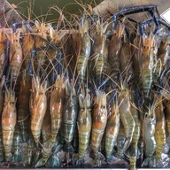 กุ้งเผา Cafe สวนอาหาร&บ่อตกกุ้ง 1