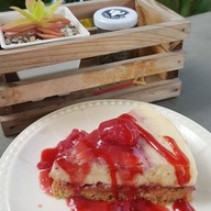 Northern Plants Farm | Cactus Cafe ไชยปราการ