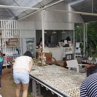 Northern Plants Farm | Cactus Cafe ไชยปราการ