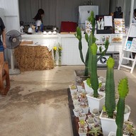 Northern Plants Farm | Cactus Cafe ไชยปราการ