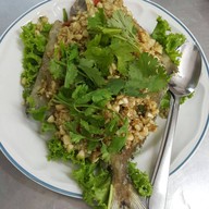 เมนูของร้าน ในรู บ้านเลขที13 ถ. นิพัทธ์อุทิศ 3 ซอย 1
