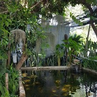 Northern Plants Farm | Cactus Cafe ไชยปราการ