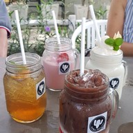 Northern Plants Farm | Cactus Cafe ไชยปราการ