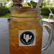 Northern Plants Farm | Cactus Cafe ไชยปราการ