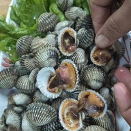 ส.แซ่บสะเด็ด พหลโยธิน 57