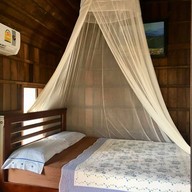 Noina's Mystic Mountain