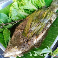เมนู โกชัยปลาเผา ตรัง