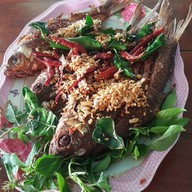 สวนอาหารวังมัจฉา