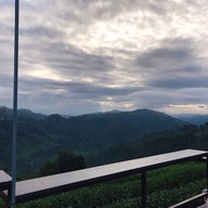 101 Tea Green View Resort