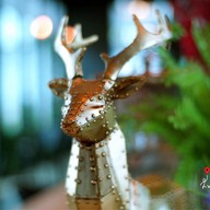 H Cafe Happy Place อมตะนคร