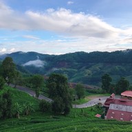 101 Tea Green View Resort