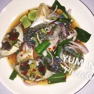 ยำอินดี้ หทัยราษฎร์