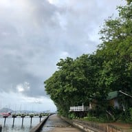 Yacht Haven Marina
