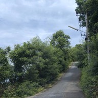 แหลมกระทิง