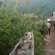 ดอยอิงดาวแอดดงพญา