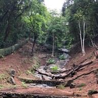 แหลมกระทิง