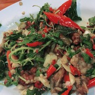 กบผัดกระเพรา