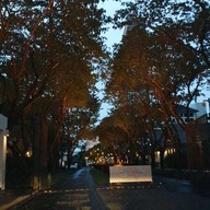 บรรยากาศ The Zuk Bar (The Sukhothai Bangkok)