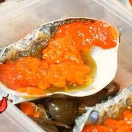 Allday Seafood บางซื่อ