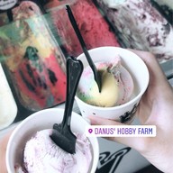 Danus' Hobby Farm