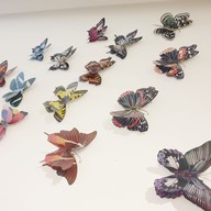 Stay With Hug Poshtel And Activities