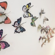 Stay With Hug Poshtel And Activities