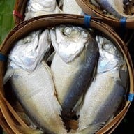 เมนูของร้าน ปลาทูนึ่งแม่กลองเจ๊หน่อย