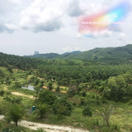 บรรยากาศ พังงาวิวพอยท์