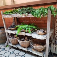 ศูนย์ผ้าหมักโคลน บ้านนาต้นจั่น